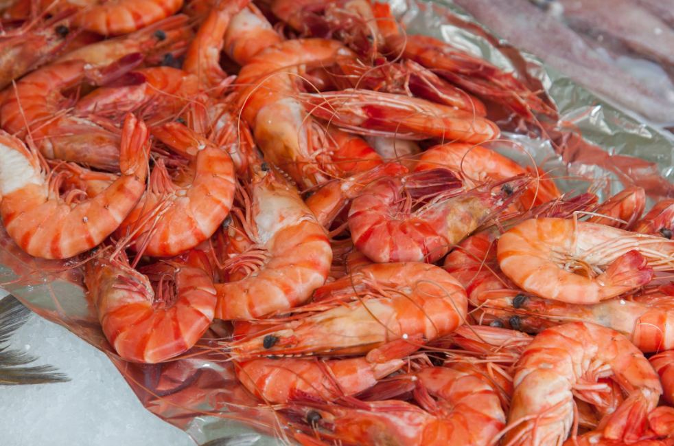 Rose Shrimp