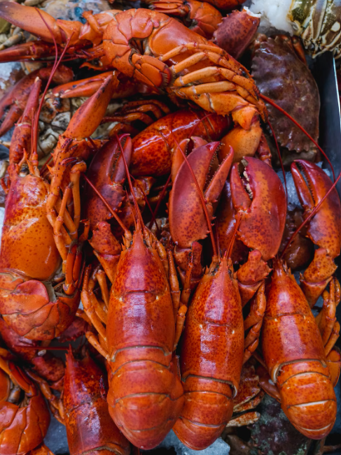 Lobster